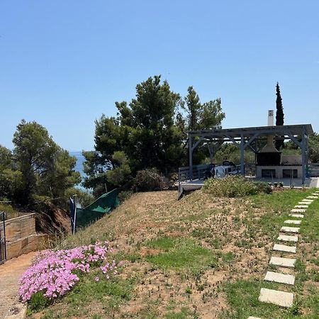 Ermojo Luxury Apartments Metokhion Patriotikon Dış mekan fotoğraf