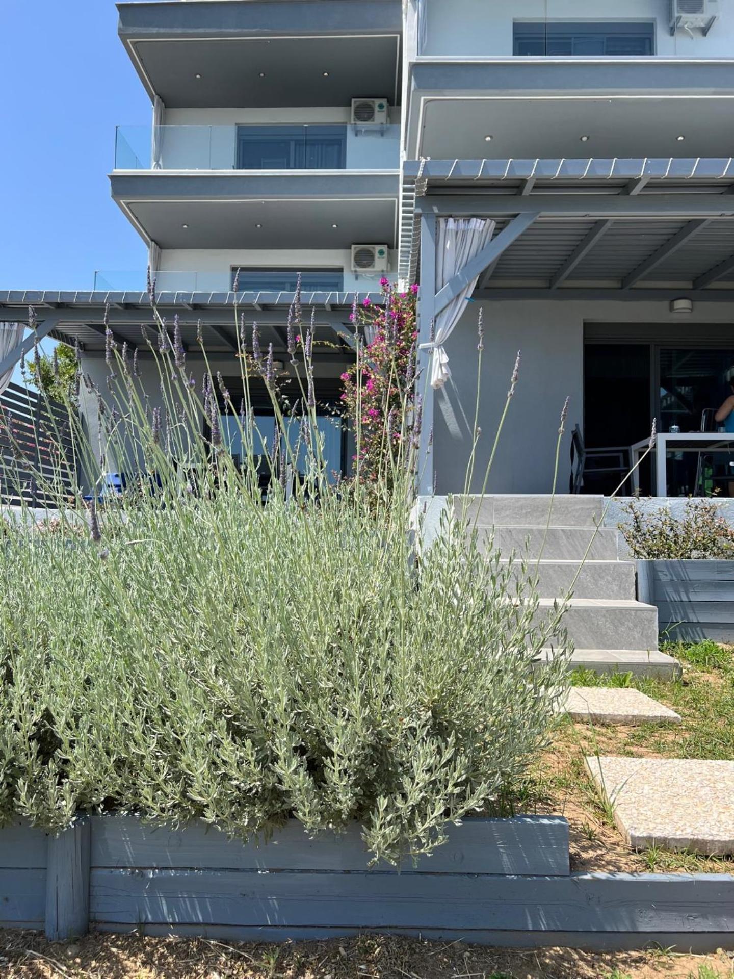 Ermojo Luxury Apartments Metokhion Patriotikon Dış mekan fotoğraf