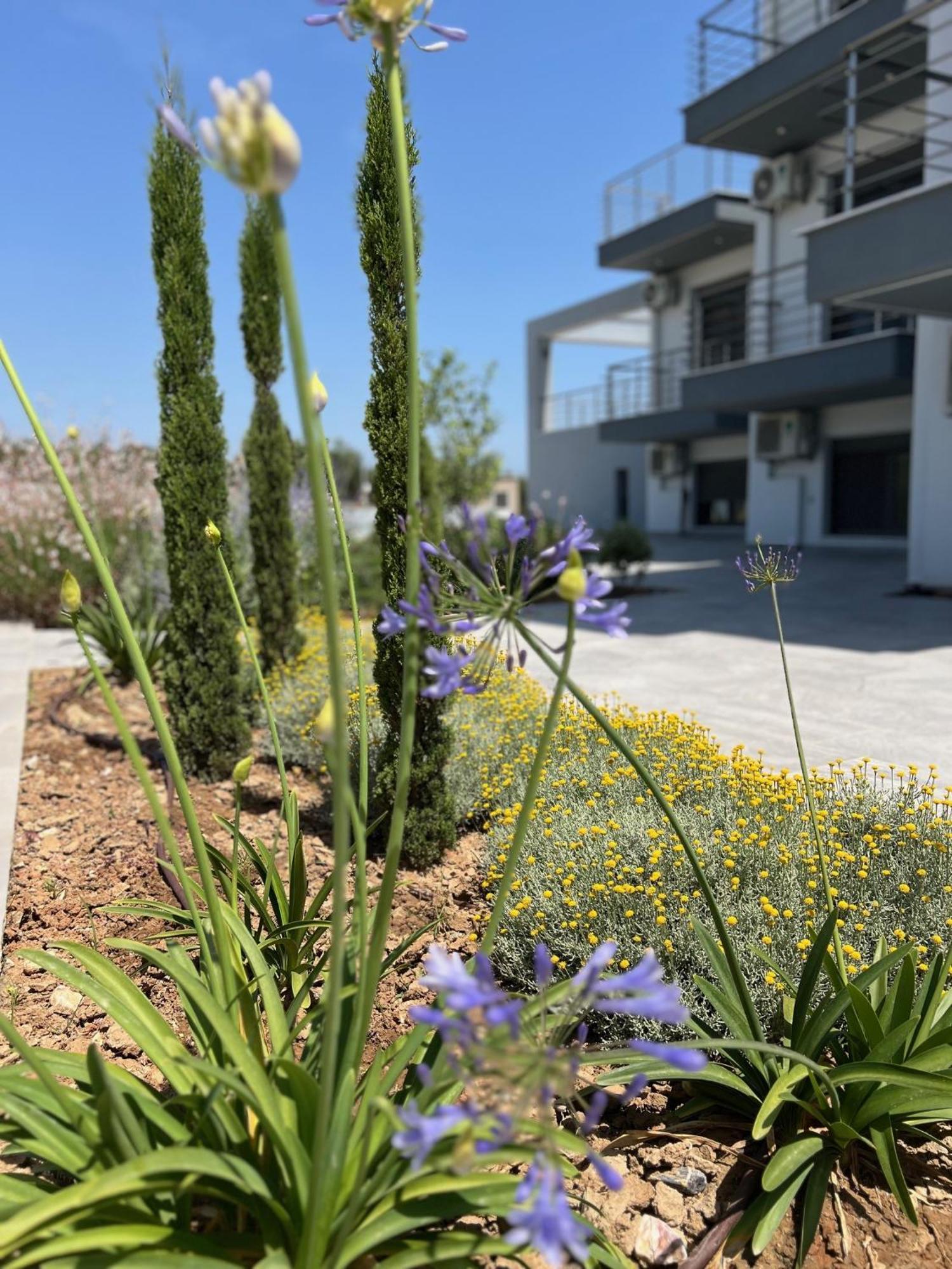 Ermojo Luxury Apartments Metokhion Patriotikon Dış mekan fotoğraf